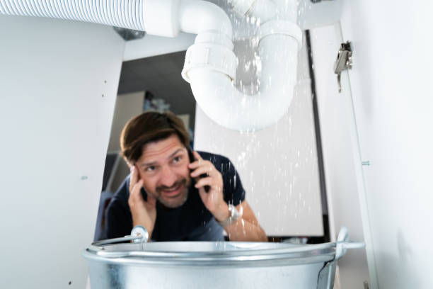 Best Leak Detection Services  in Cresco, IA